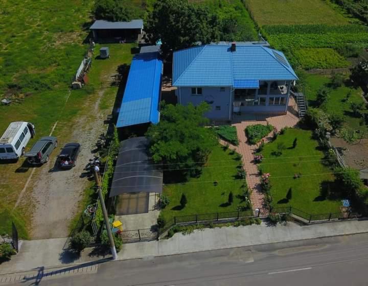 Casa Cu Trandafiri 무리기올 외부 사진