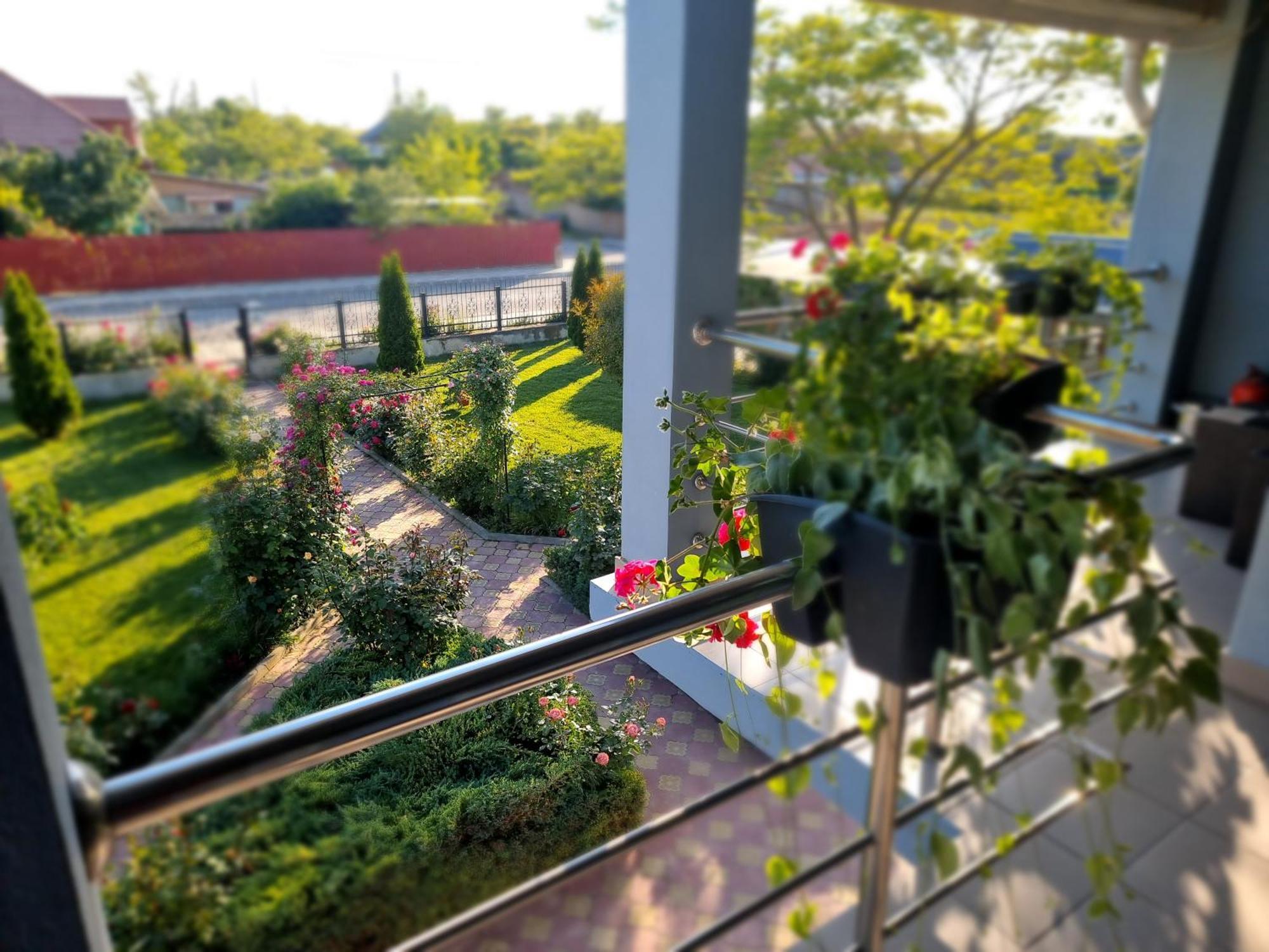 Casa Cu Trandafiri 무리기올 외부 사진