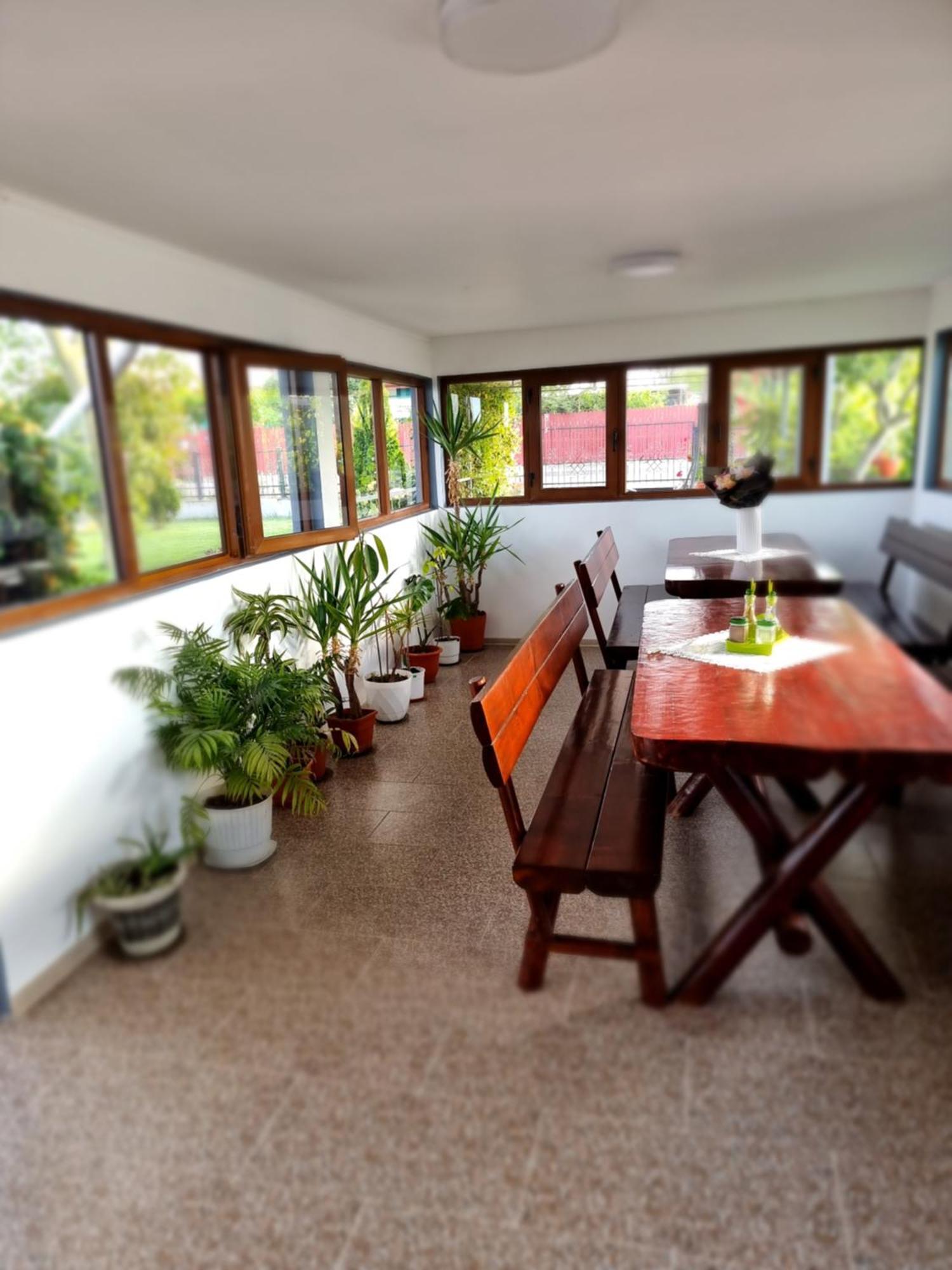 Casa Cu Trandafiri 무리기올 외부 사진
