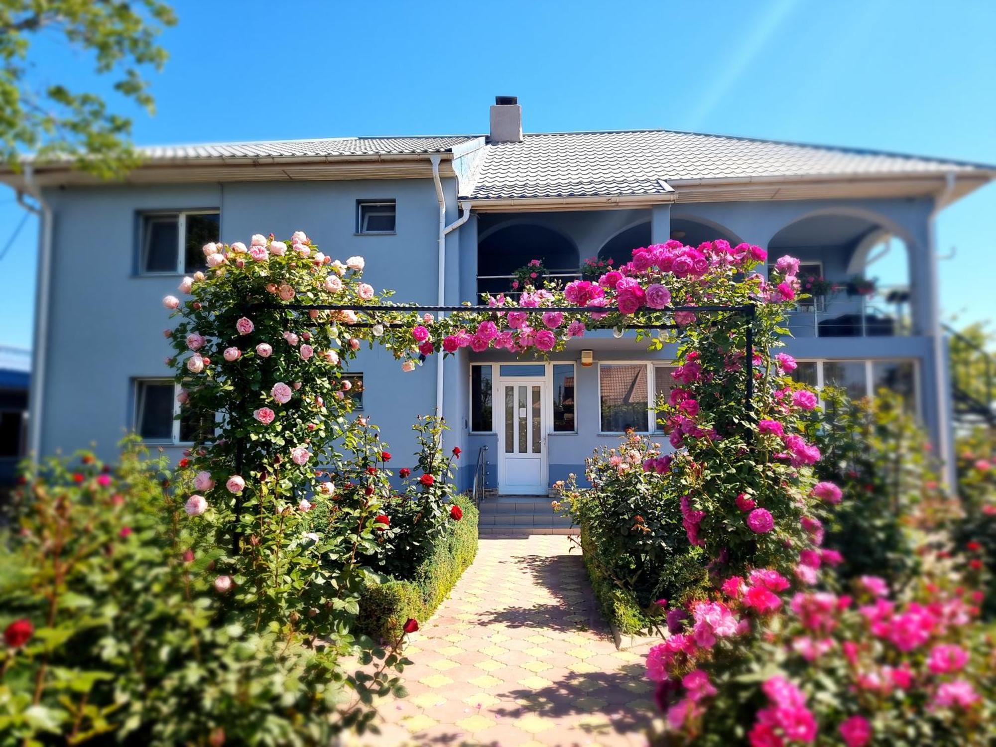 Casa Cu Trandafiri 무리기올 외부 사진