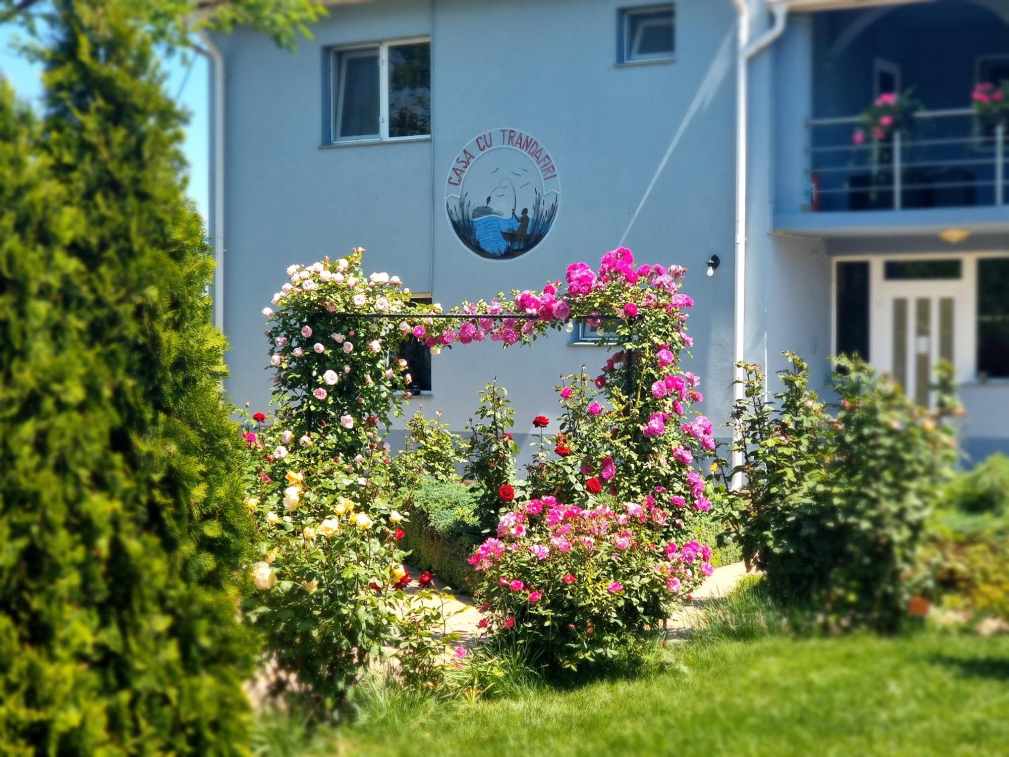 Casa Cu Trandafiri 무리기올 외부 사진