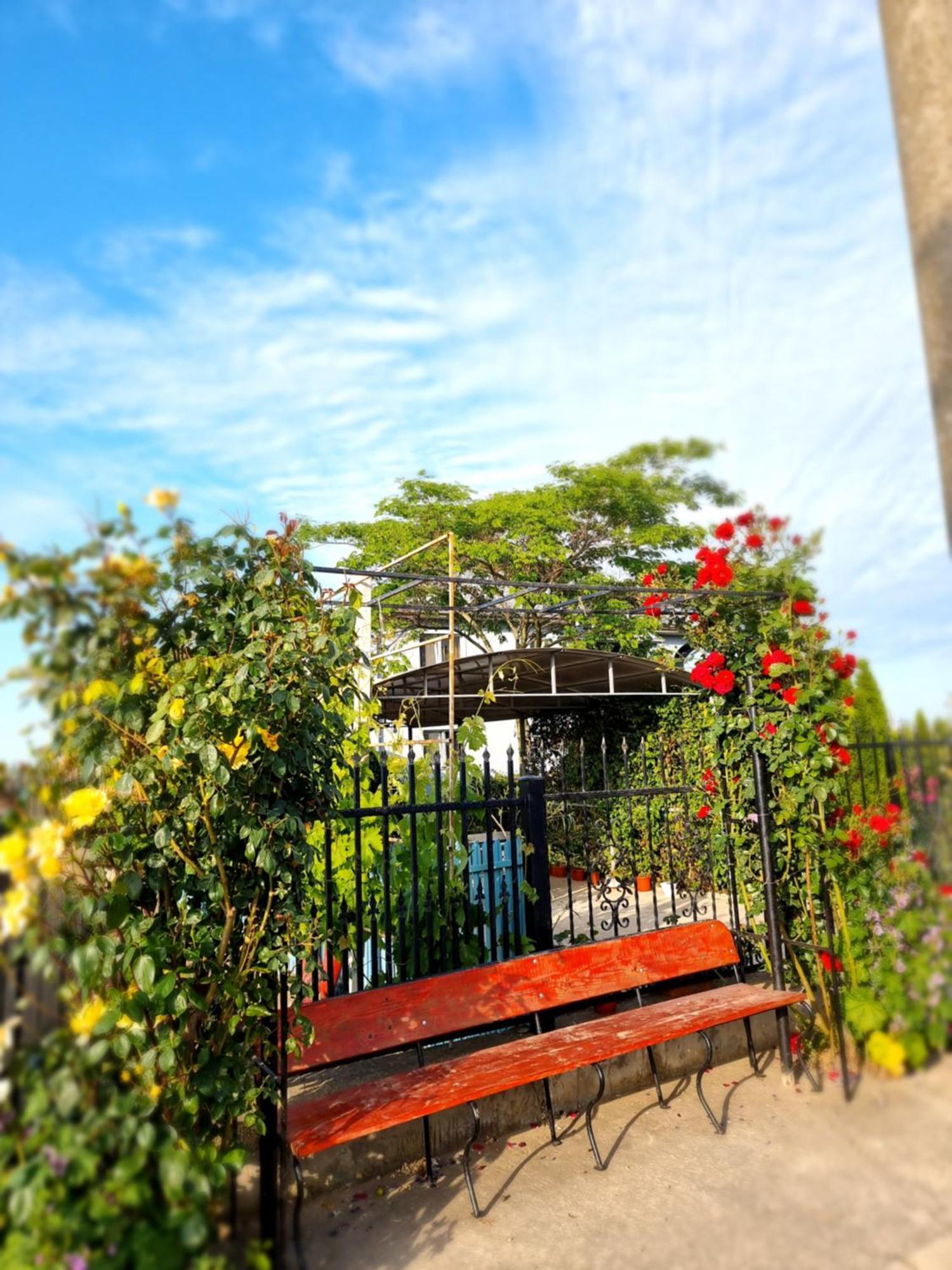 Casa Cu Trandafiri 무리기올 외부 사진
